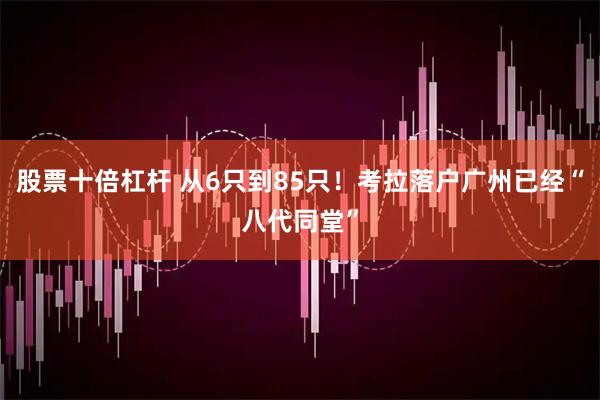 股票十倍杠杆 从6只到85只！考拉落户广州已经“八代同堂”