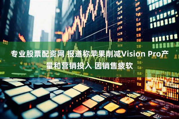 专业股票配资网 报道称苹果削减Vision Pro产量和营销投入 因销售疲软